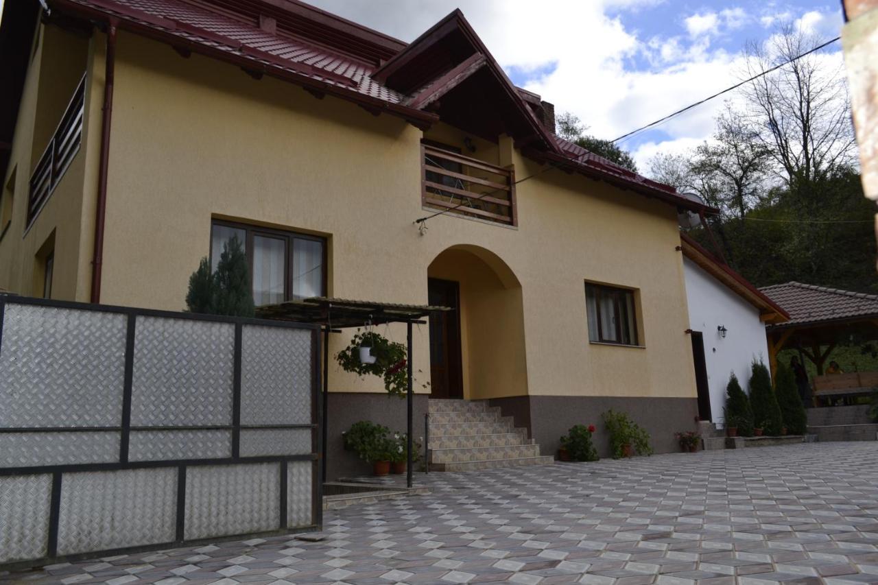 Pensiunea Malinul Birsana Экстерьер фото