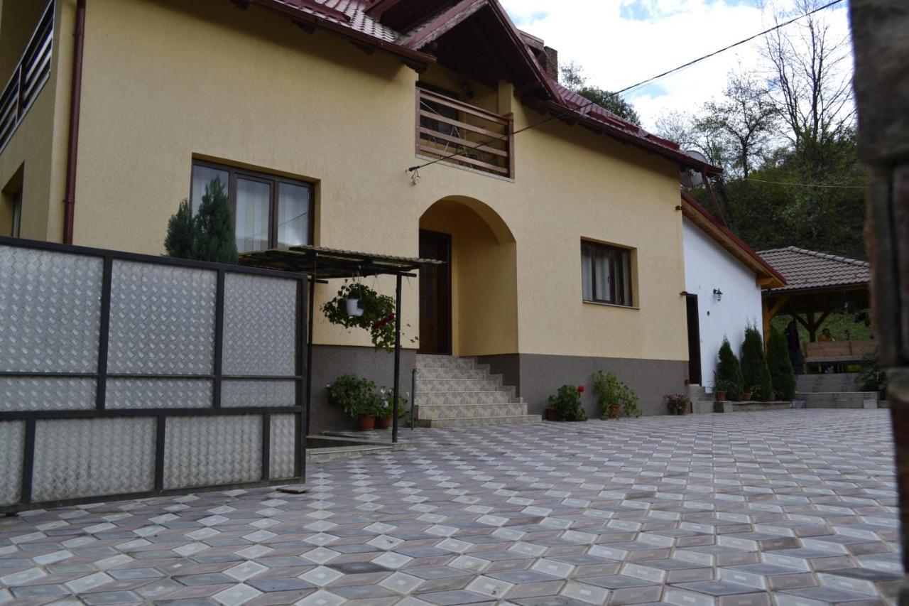 Pensiunea Malinul Birsana Экстерьер фото