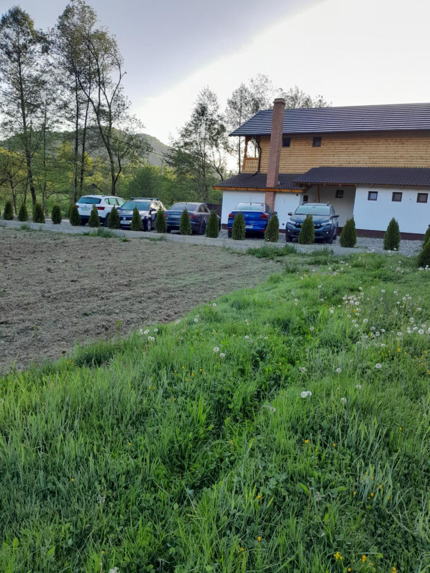 Pensiunea Malinul Birsana Экстерьер фото