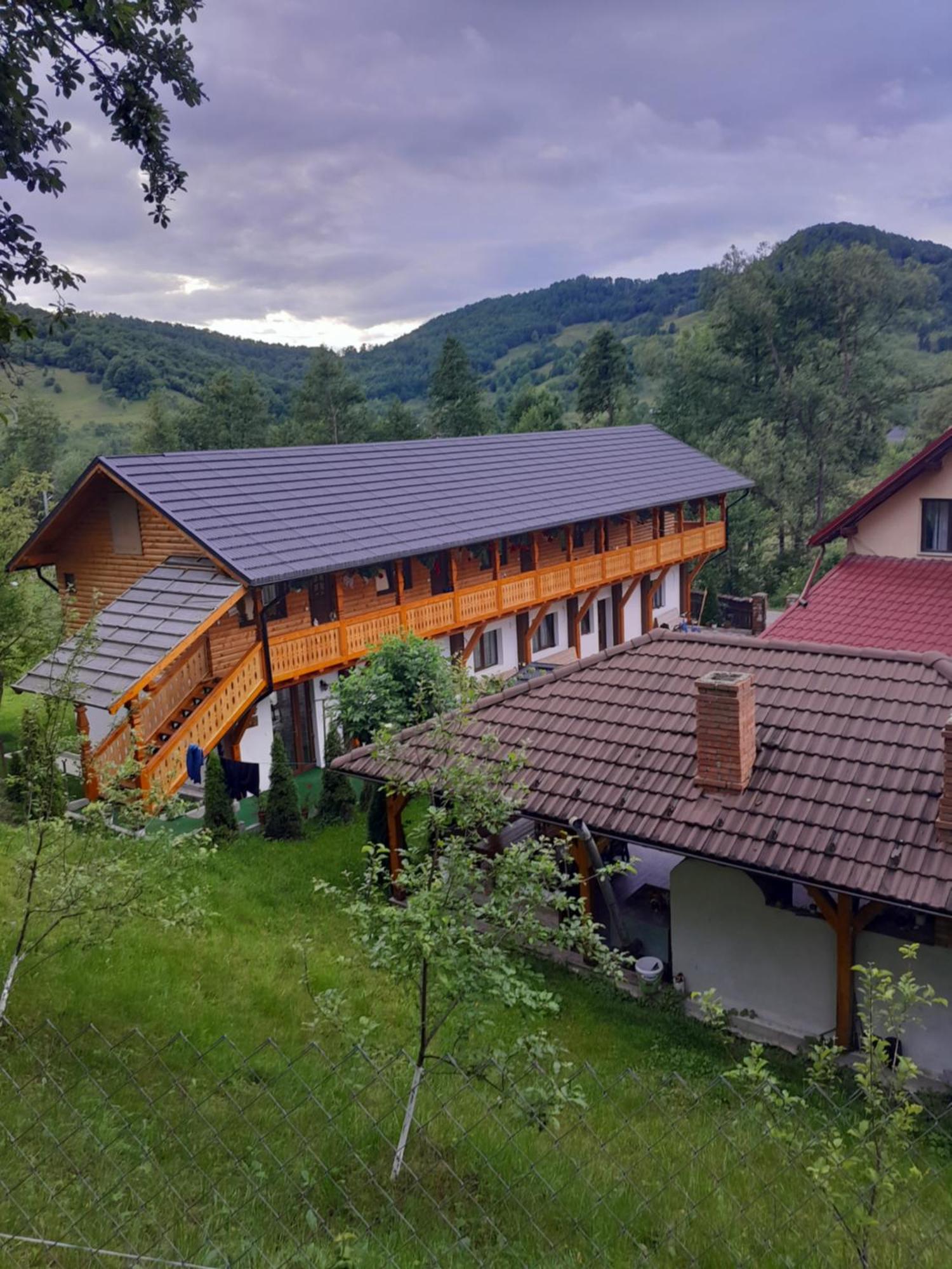 Pensiunea Malinul Birsana Экстерьер фото